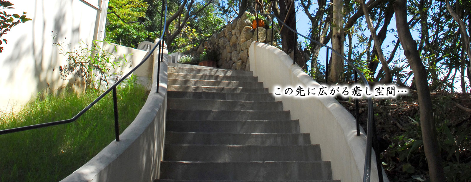 この先に広がる癒し空間…